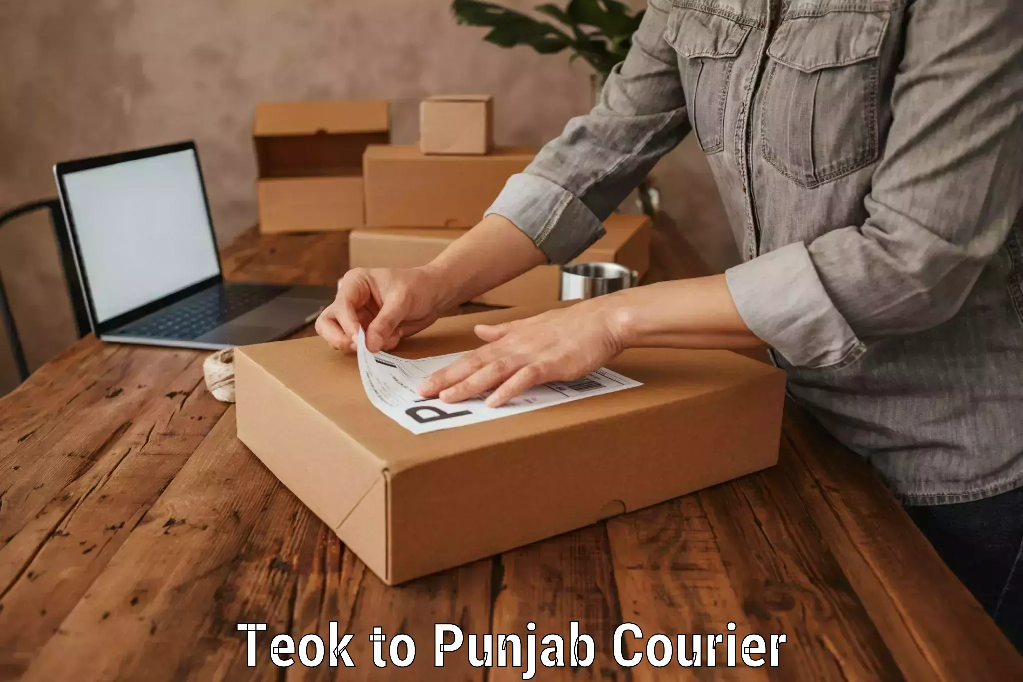 Baggage shipping service Teok to Punjab