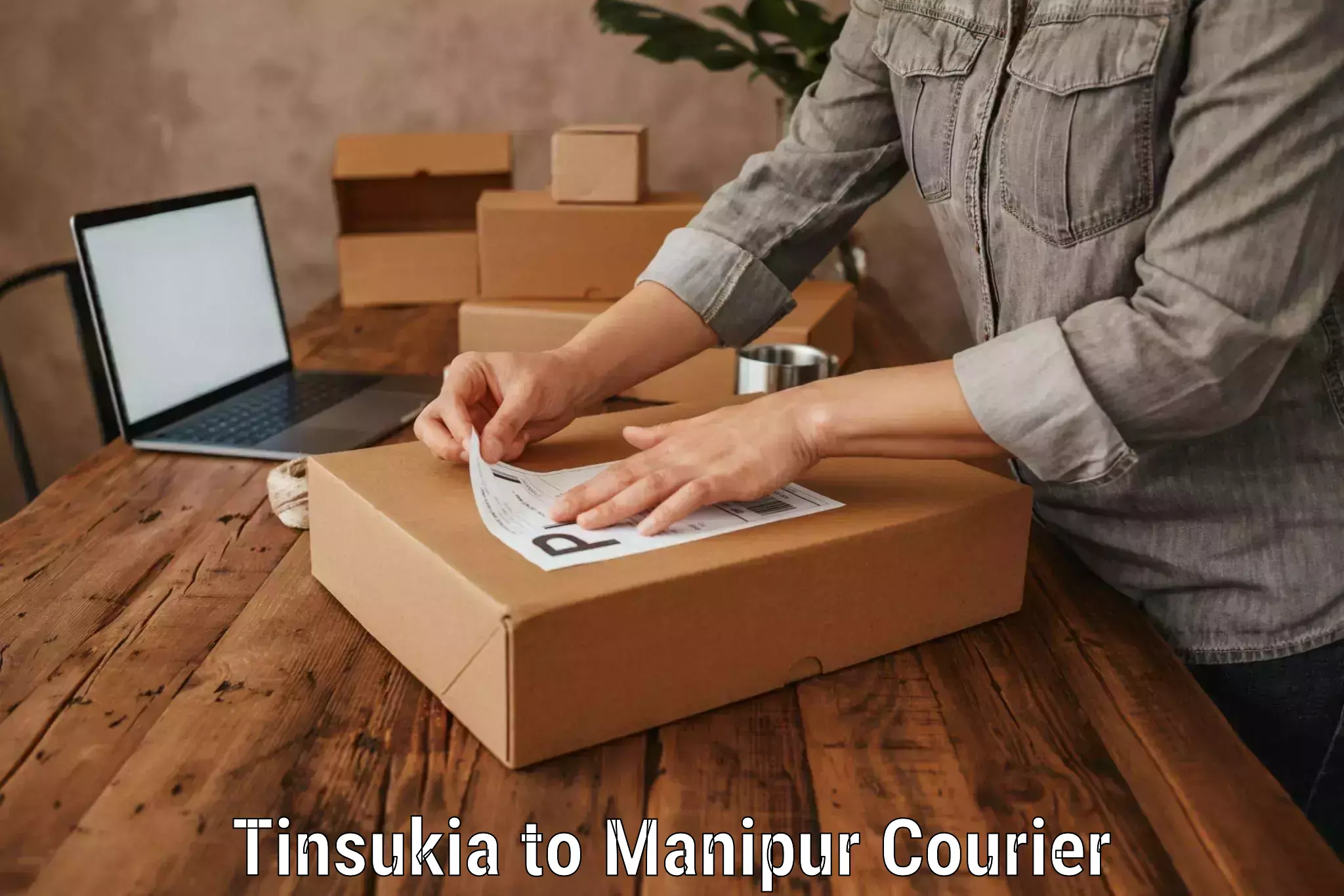 Holiday season luggage delivery Tinsukia to Manipur