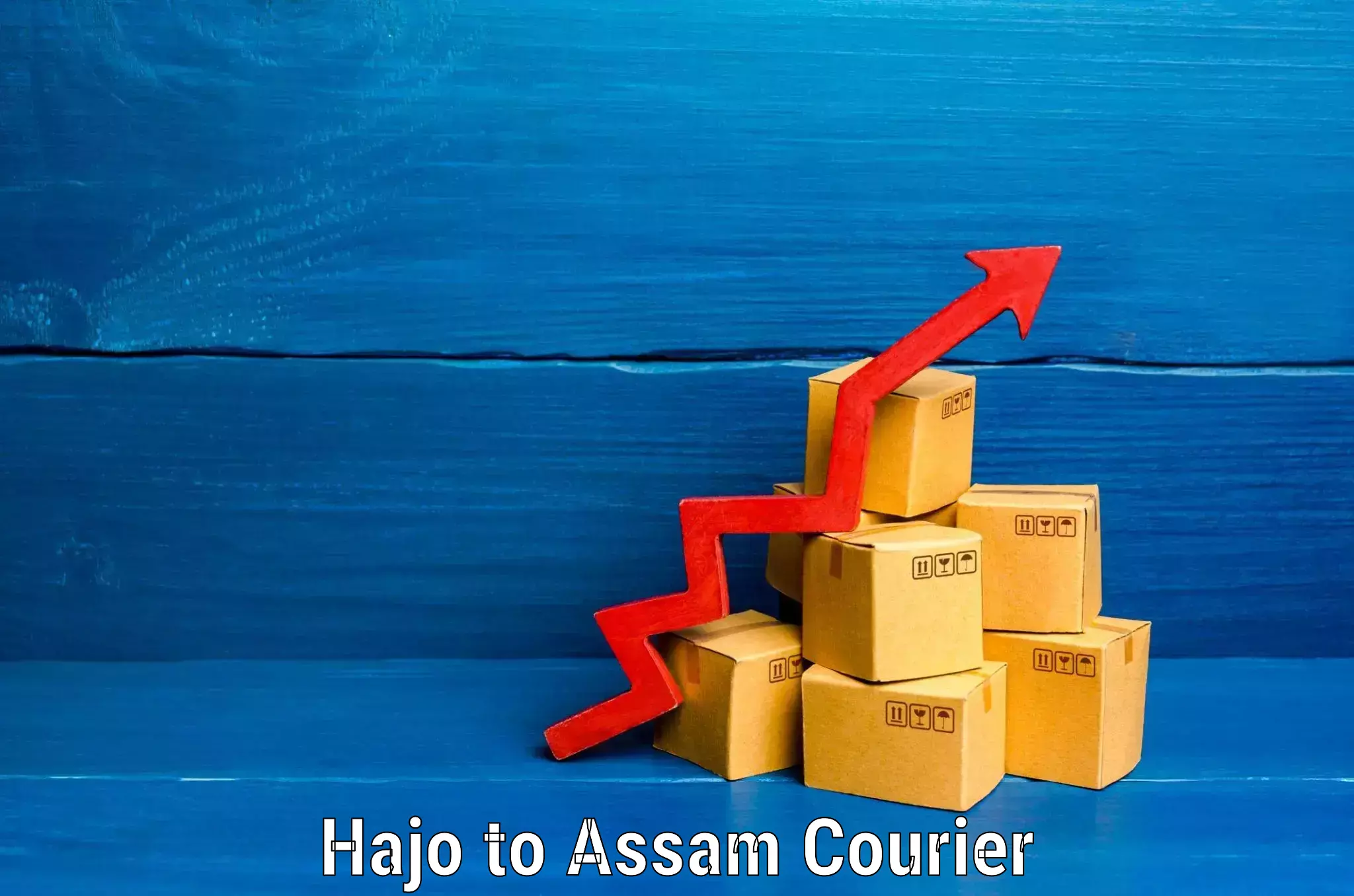 Short distance baggage courier Hajo to Darrang