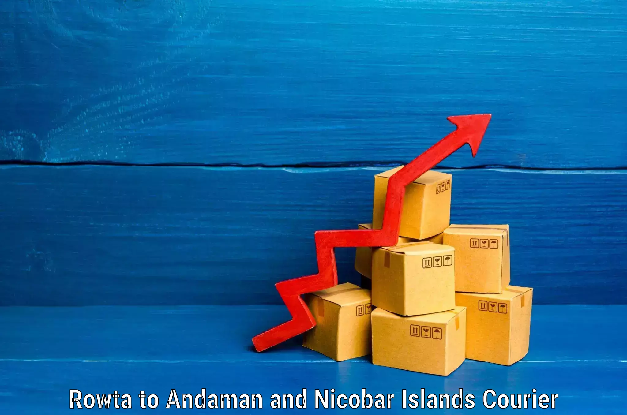Baggage transport quote Rowta to Andaman and Nicobar Islands