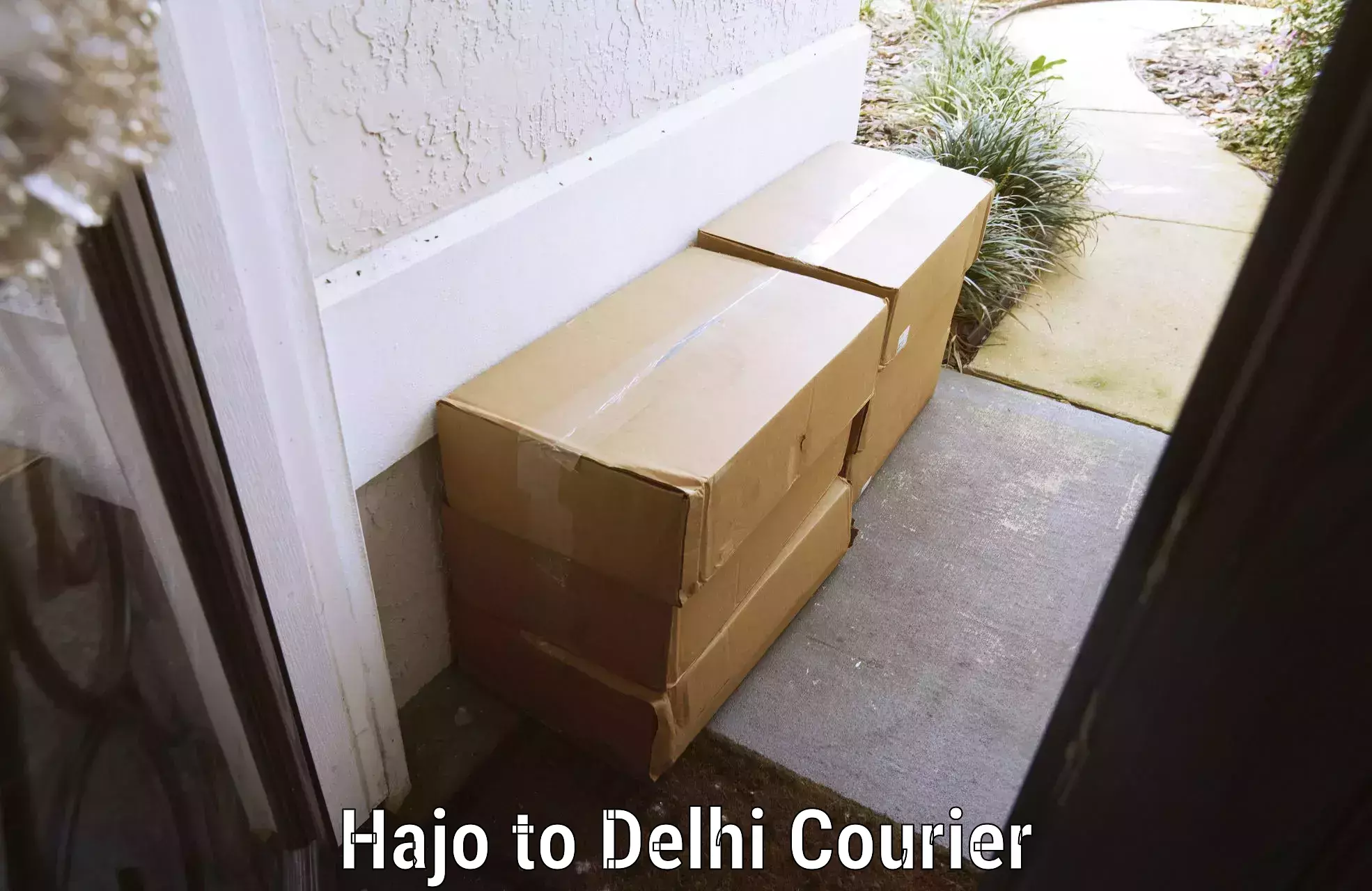 Reliable luggage courier Hajo to IIT Delhi