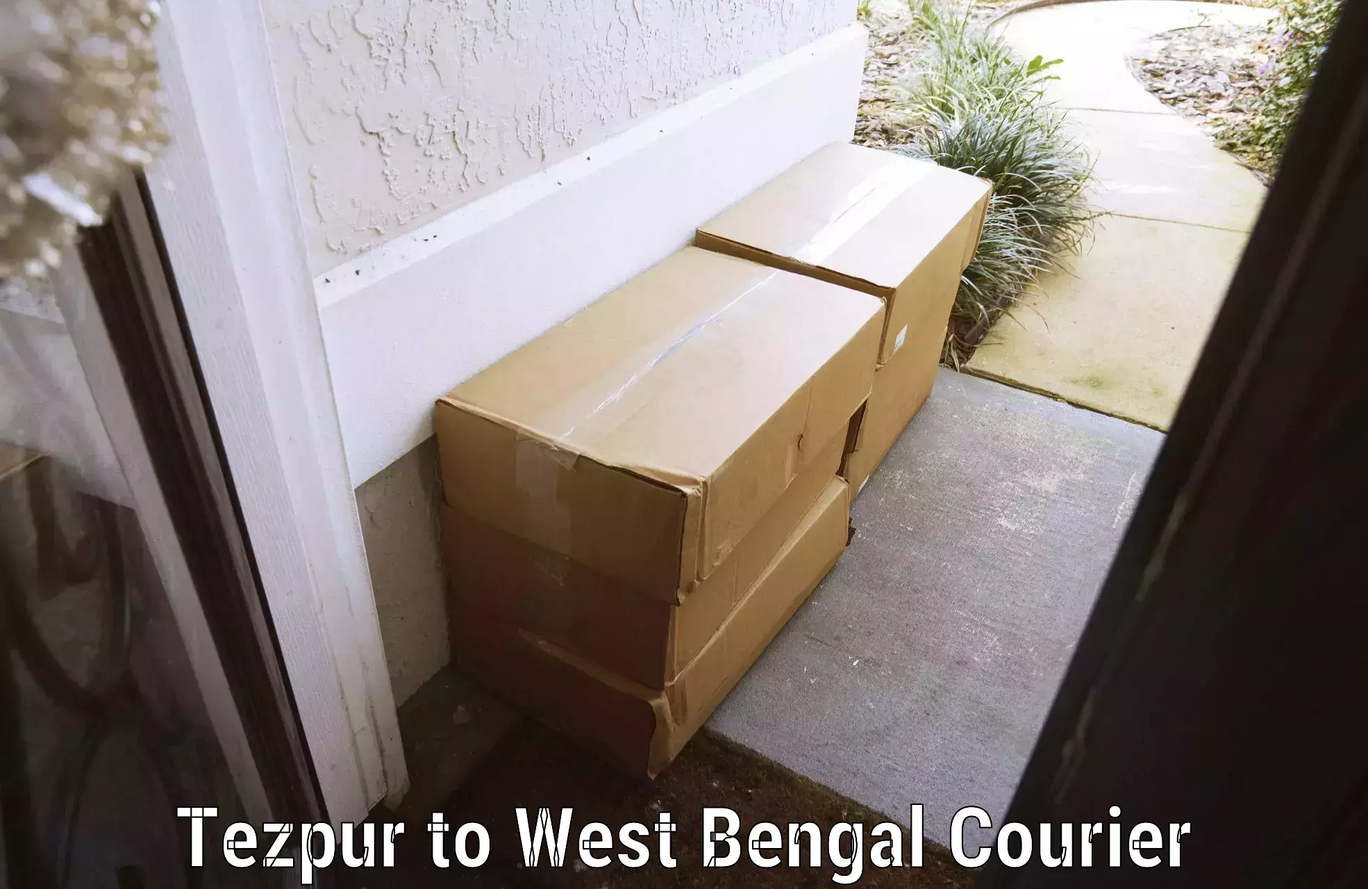 Single item baggage courier Tezpur to Asansol