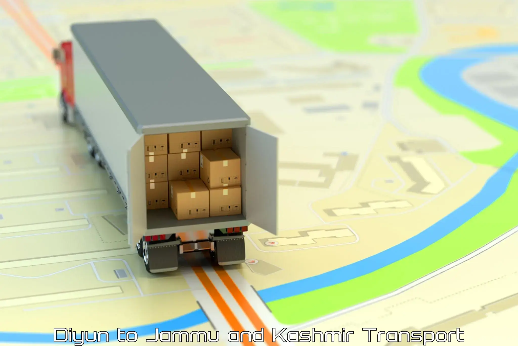 Container transport service Diyun to Sopore