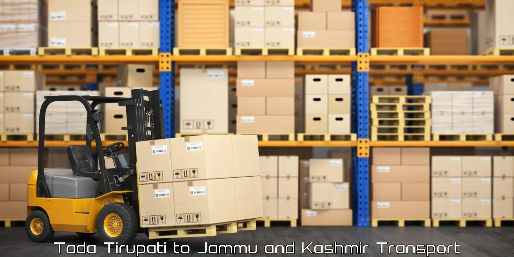 Two wheeler transport services Tada Tirupati to Jammu and Kashmir