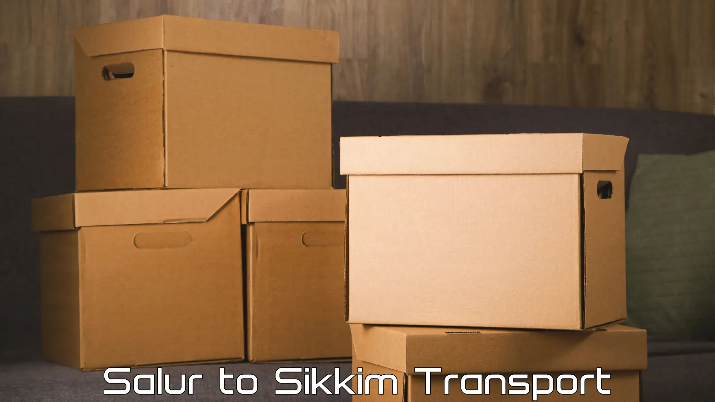 Two wheeler parcel service Salur to Sikkim