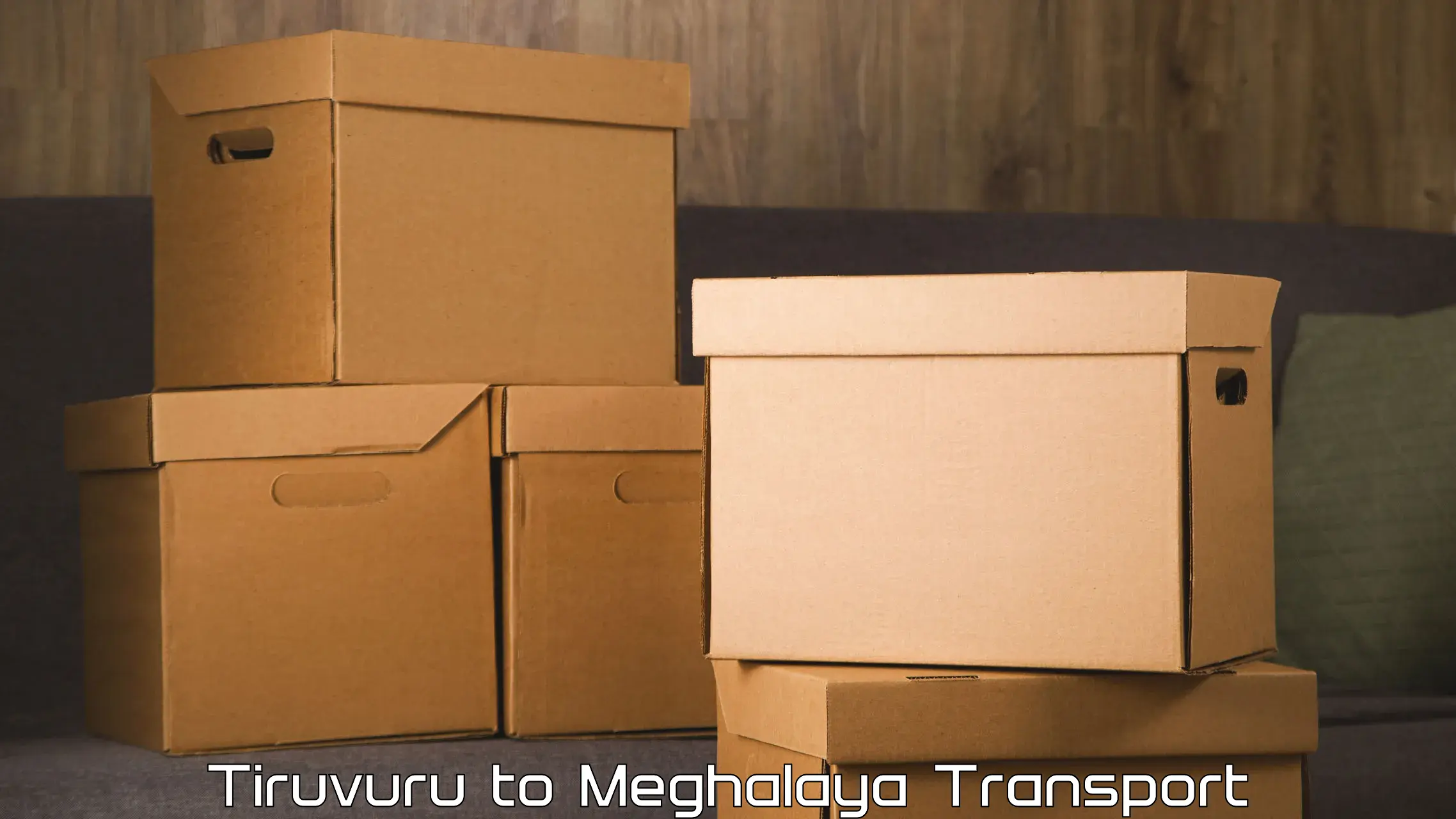 International cargo transportation services Tiruvuru to West Garo Hills