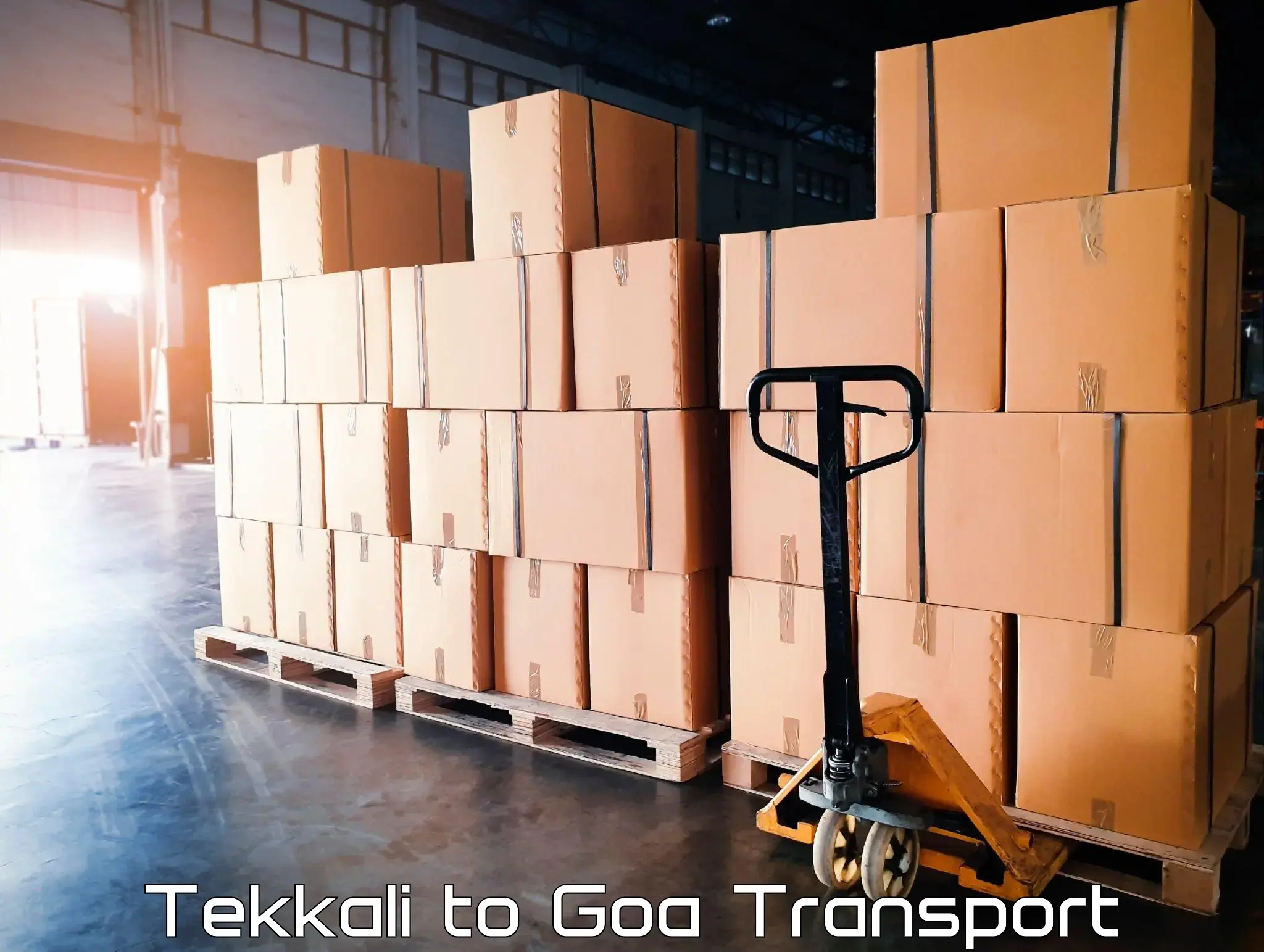 Two wheeler transport services Tekkali to Panjim