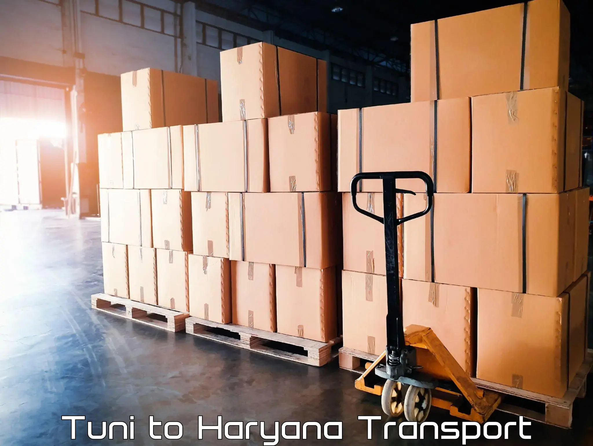 Cargo transport services Tuni to Haryana