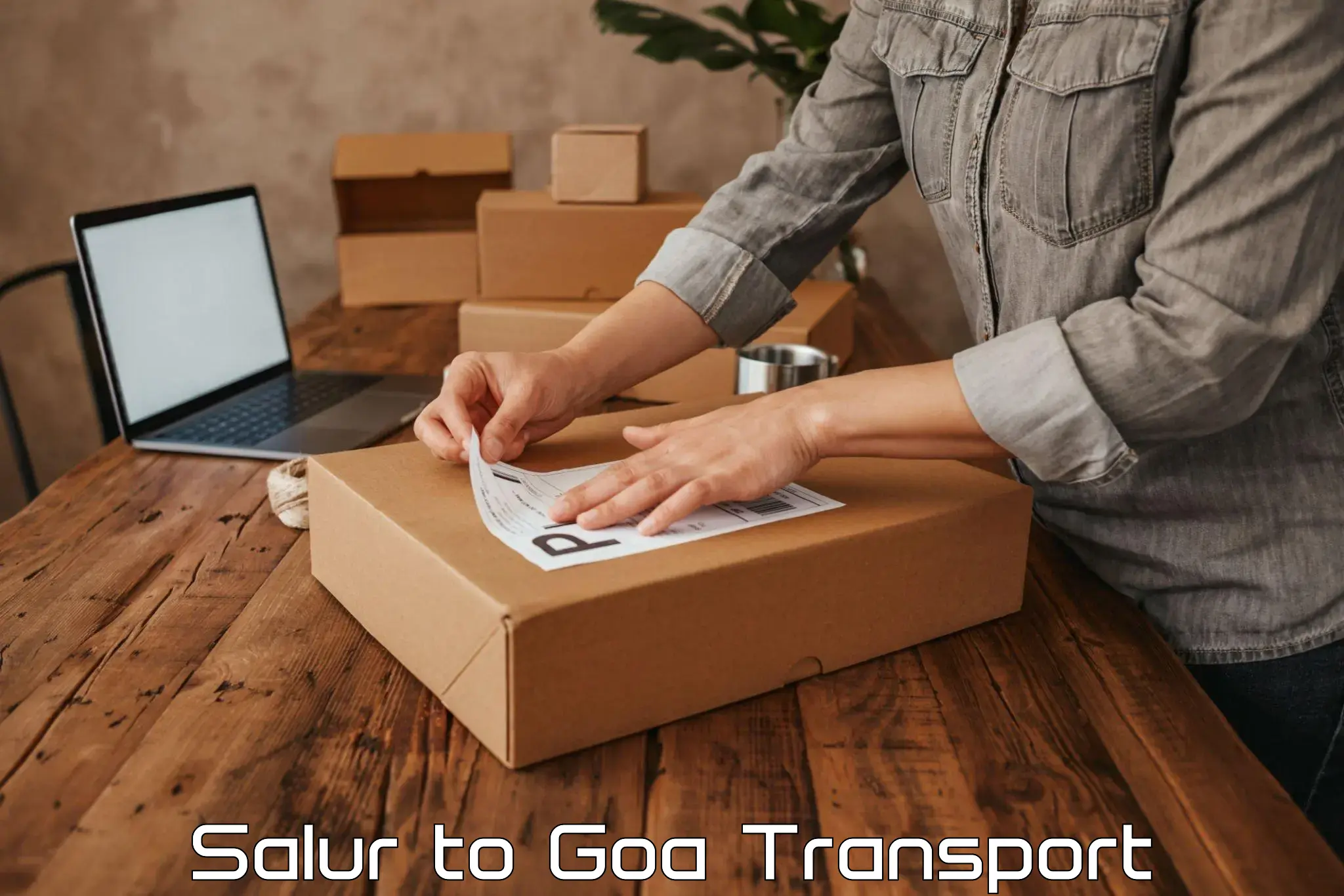 Truck transport companies in India in Salur to IIT Goa