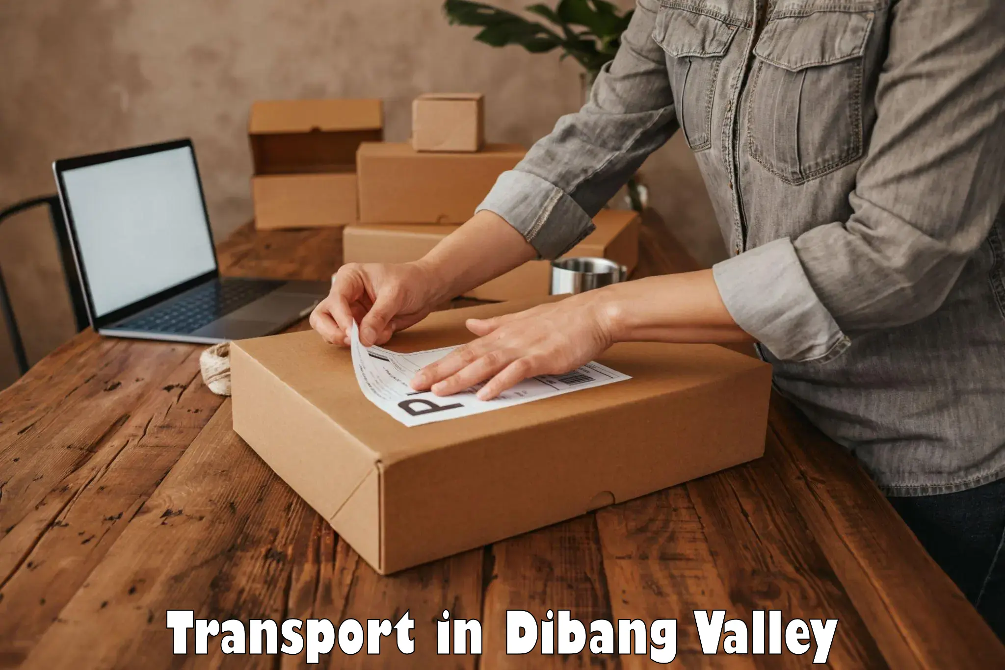 Shipping partner in Dibang Valley