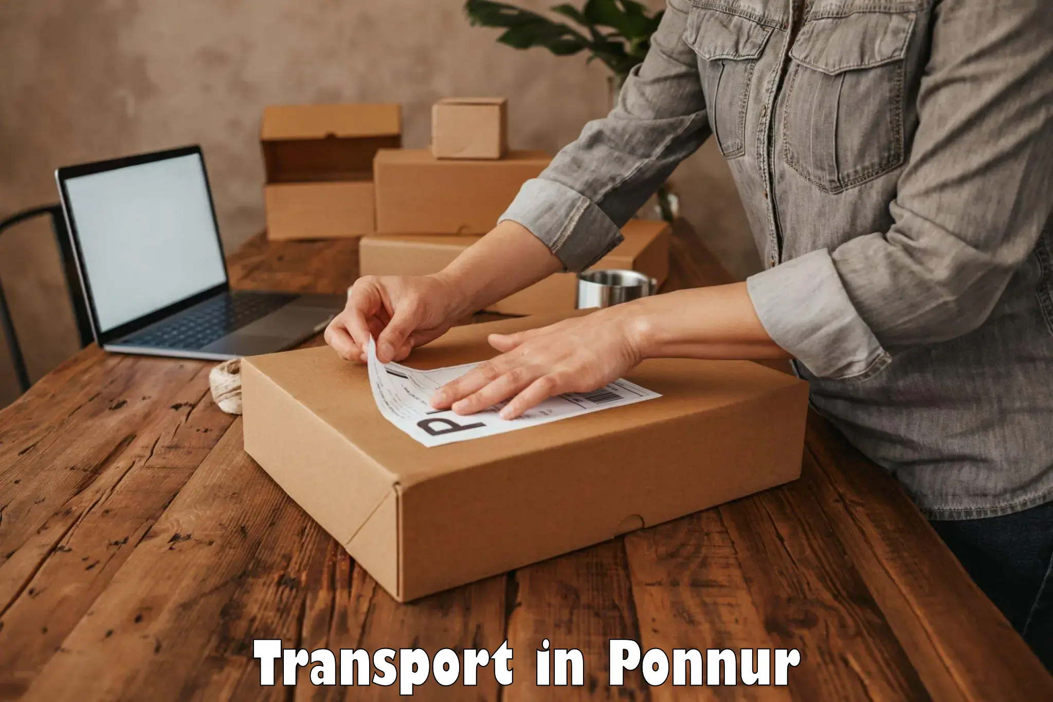 Air cargo transport services in Ponnur