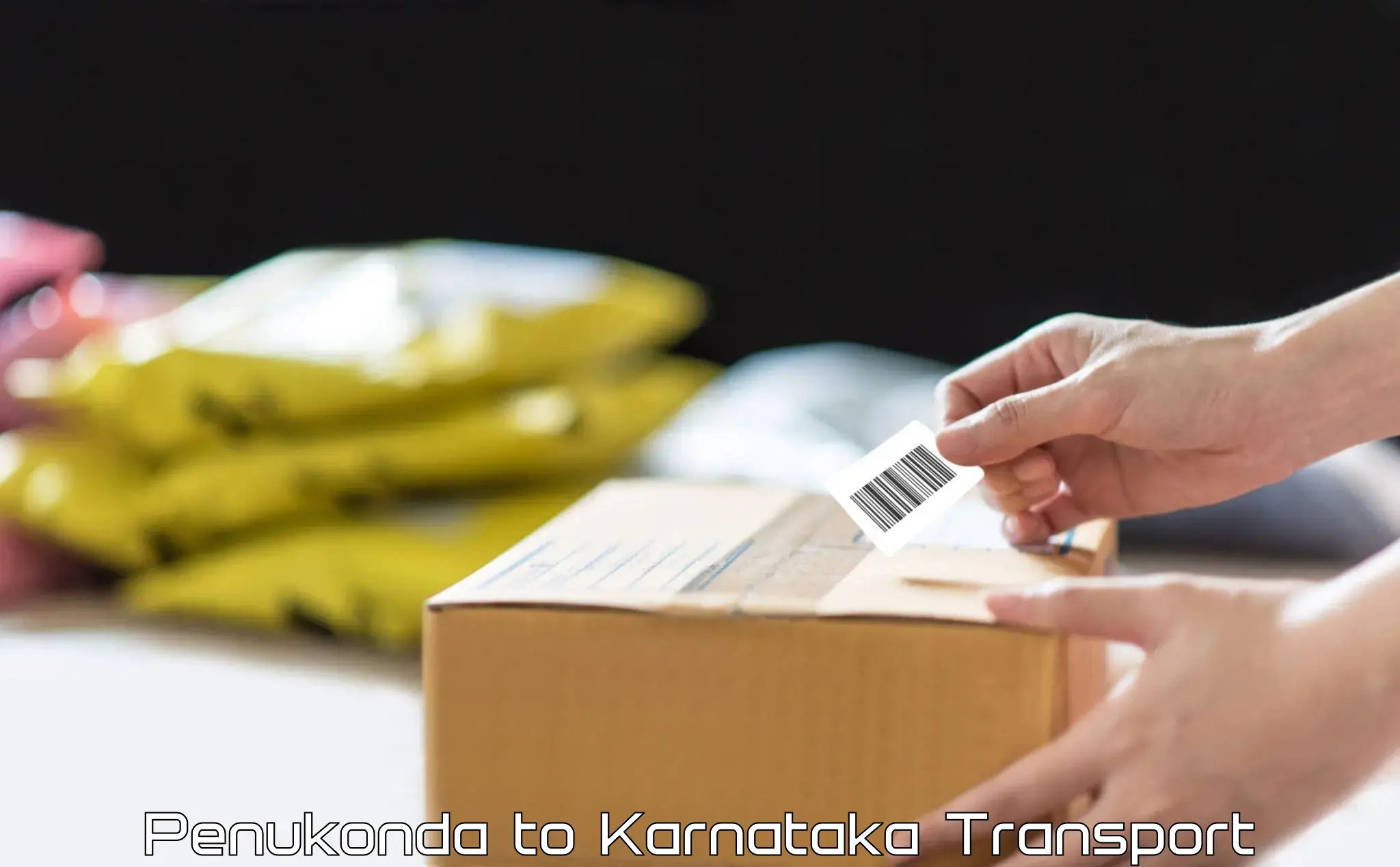 Two wheeler parcel service Penukonda to Shimoga