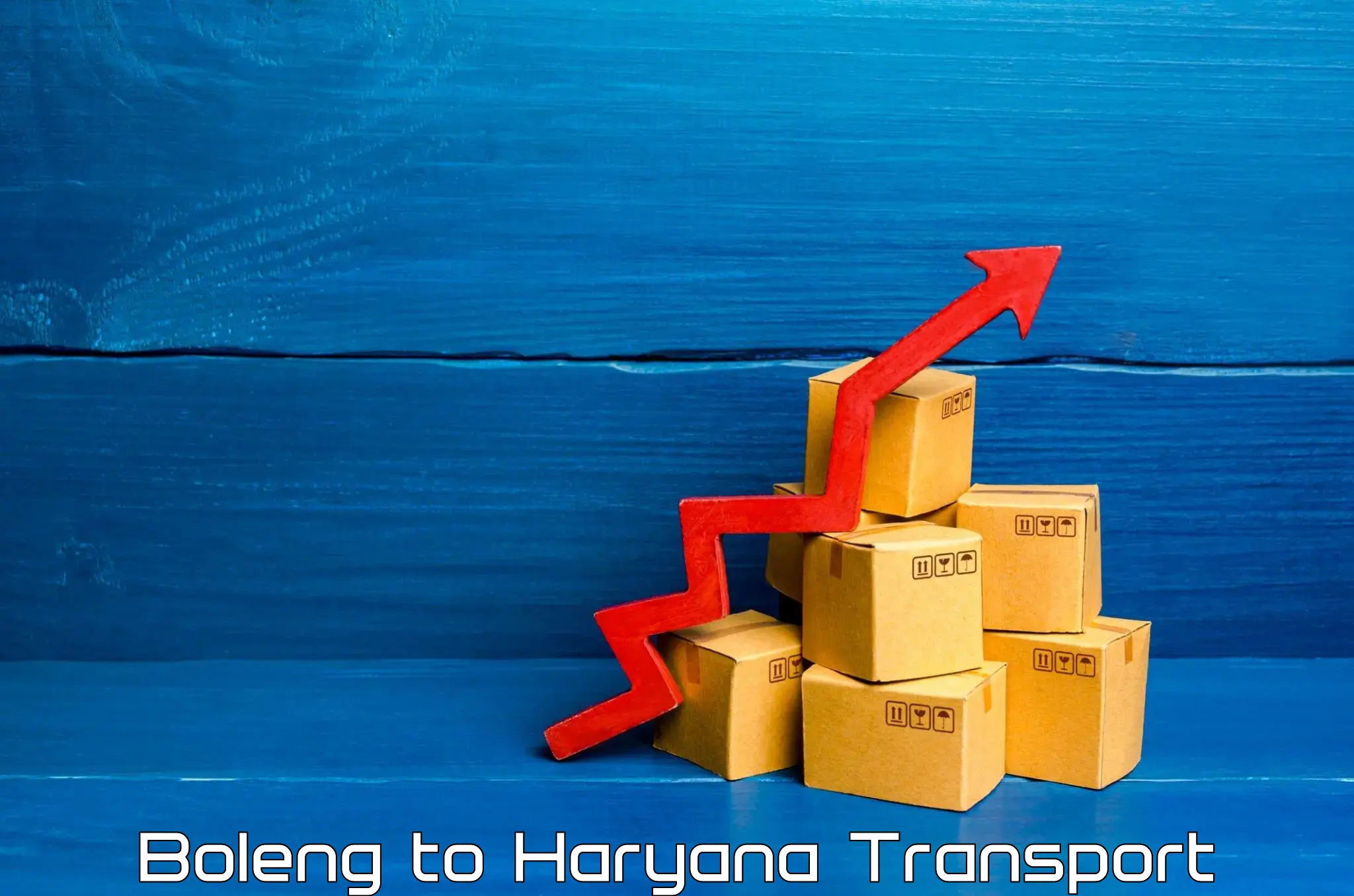 International cargo transportation services Boleng to Narwana
