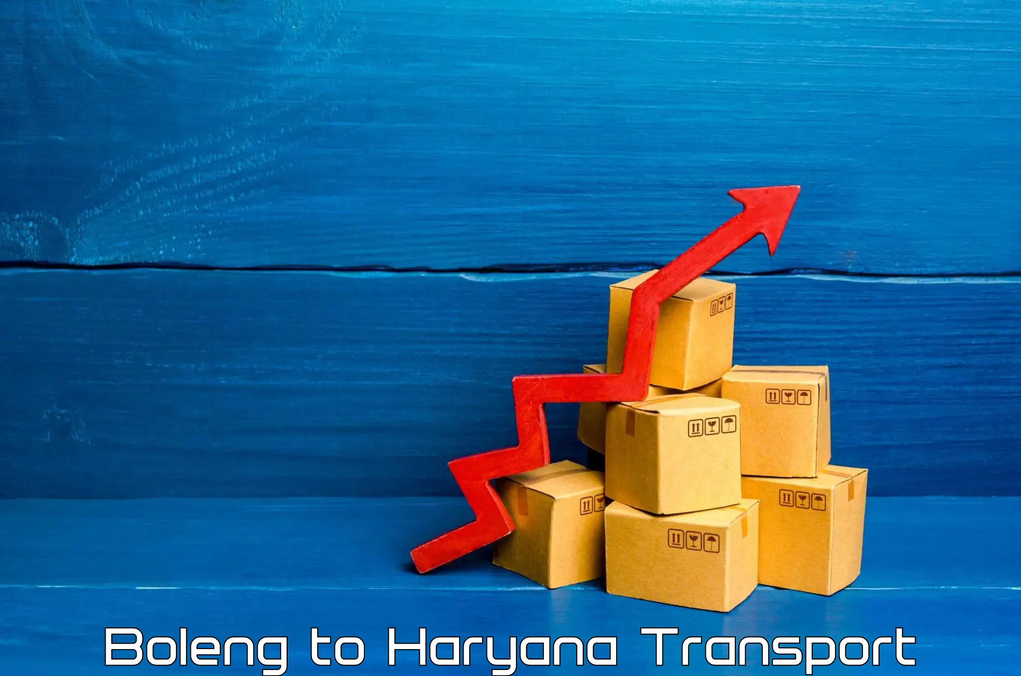 Cargo transportation services Boleng to Hisar