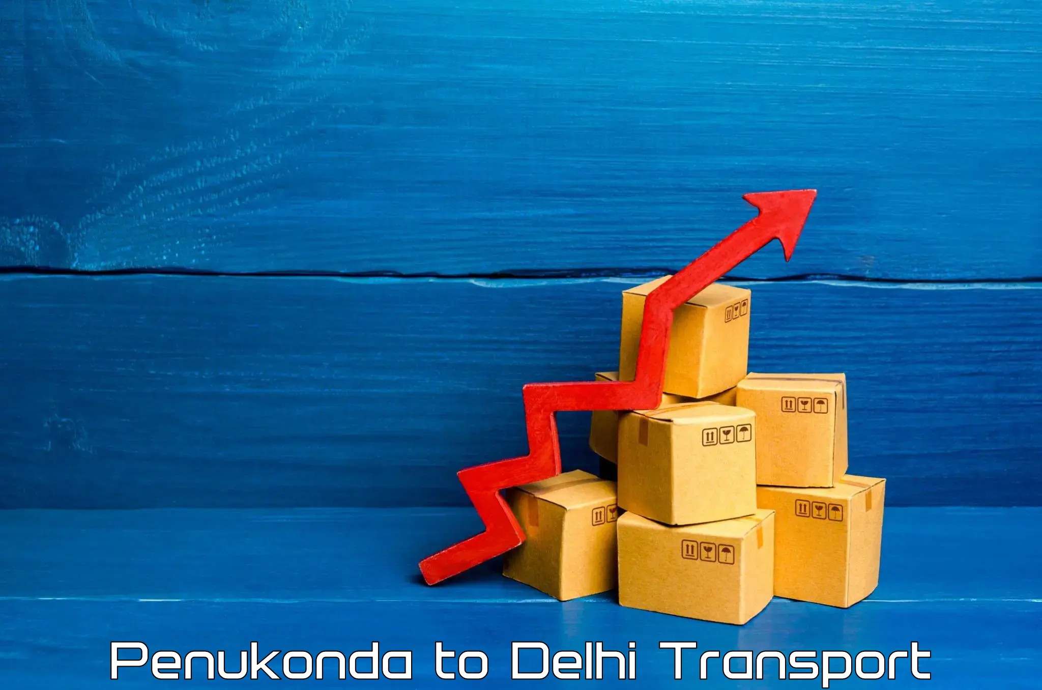Vehicle parcel service Penukonda to Jamia Hamdard New Delhi