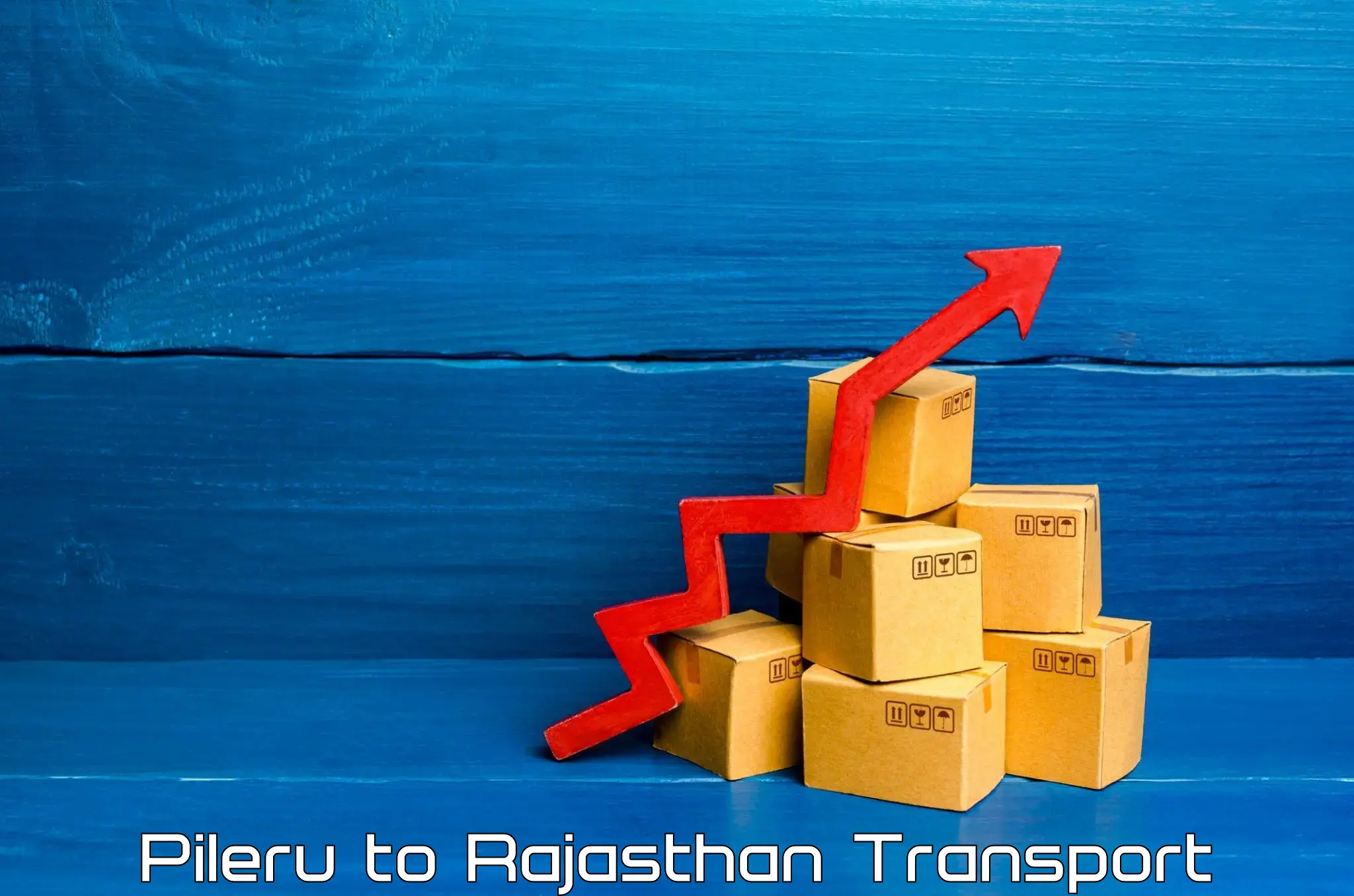 Daily parcel service transport Pileru to Ramganj Mandi