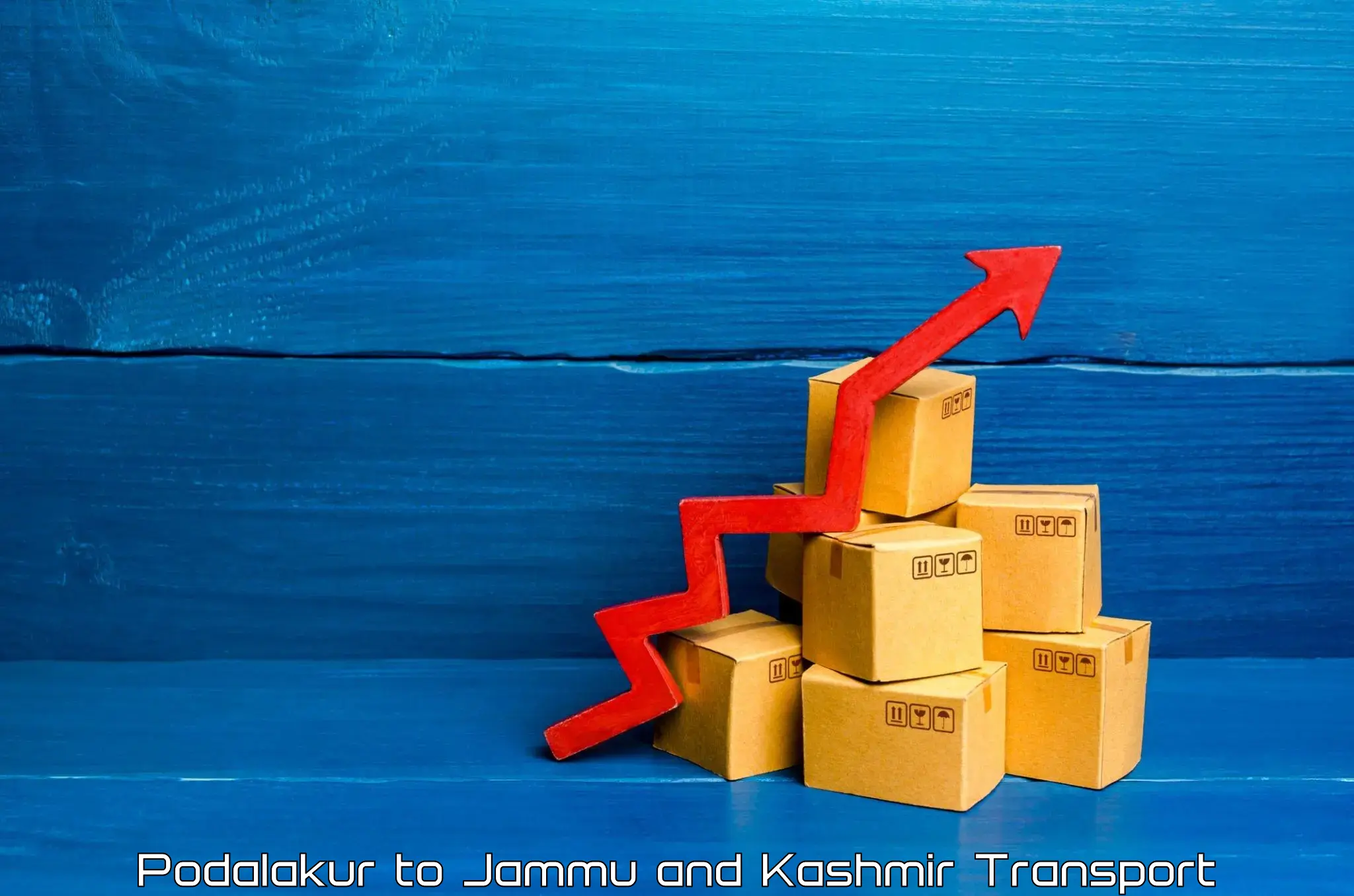 Cargo train transport services Podalakur to Srinagar Kashmir