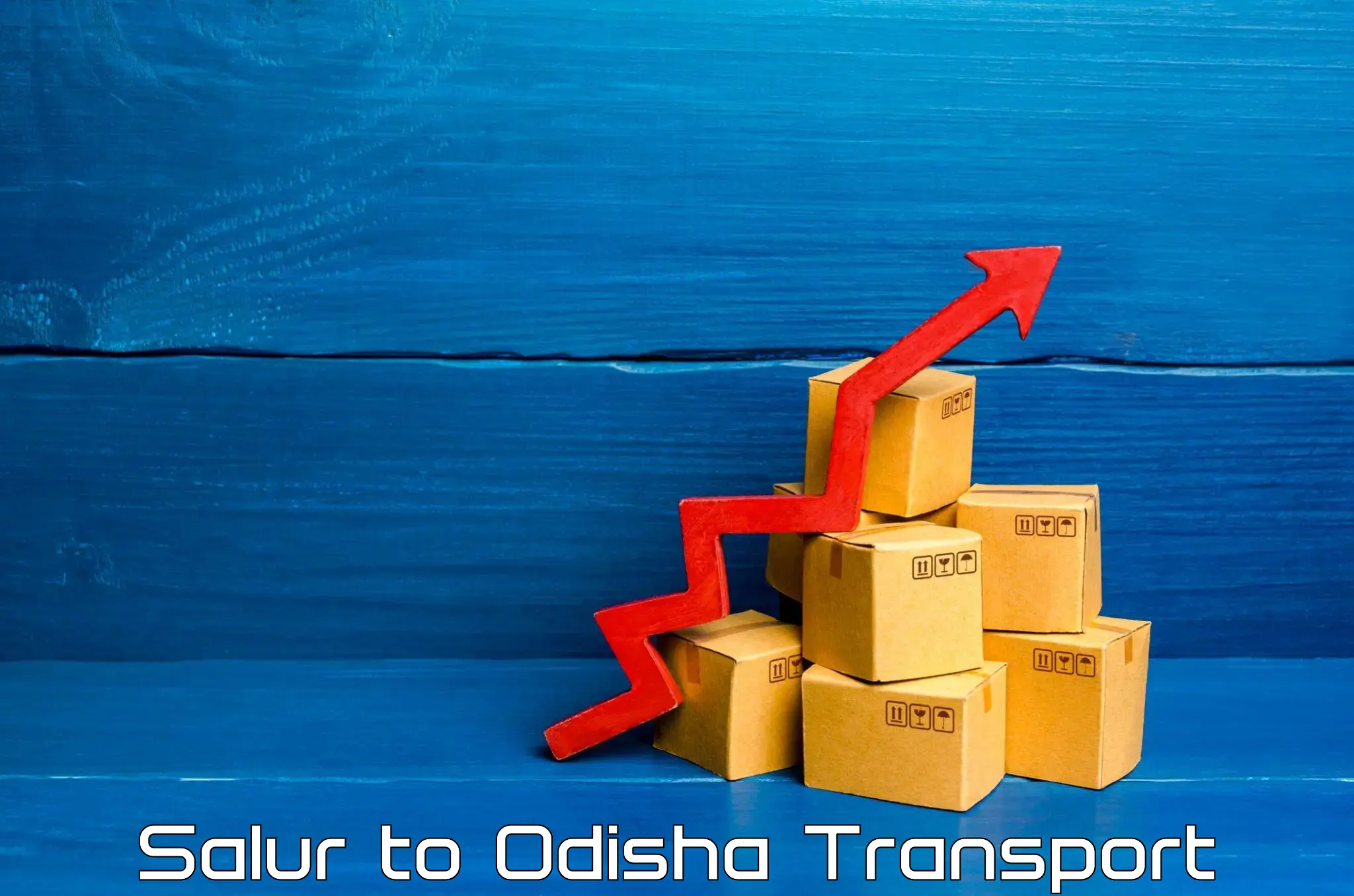 Material transport services Salur to Sonepur Subarnapur