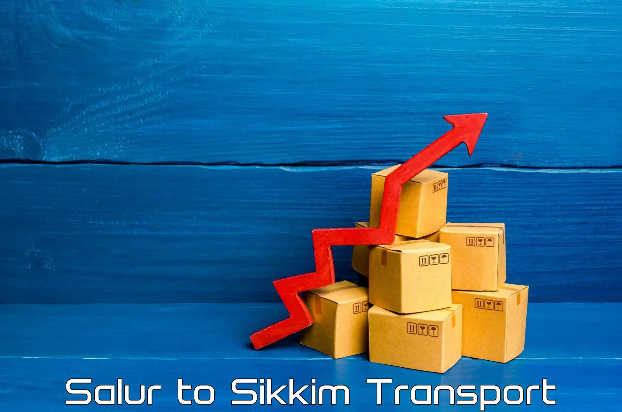 Door to door transport services Salur to Gangtok