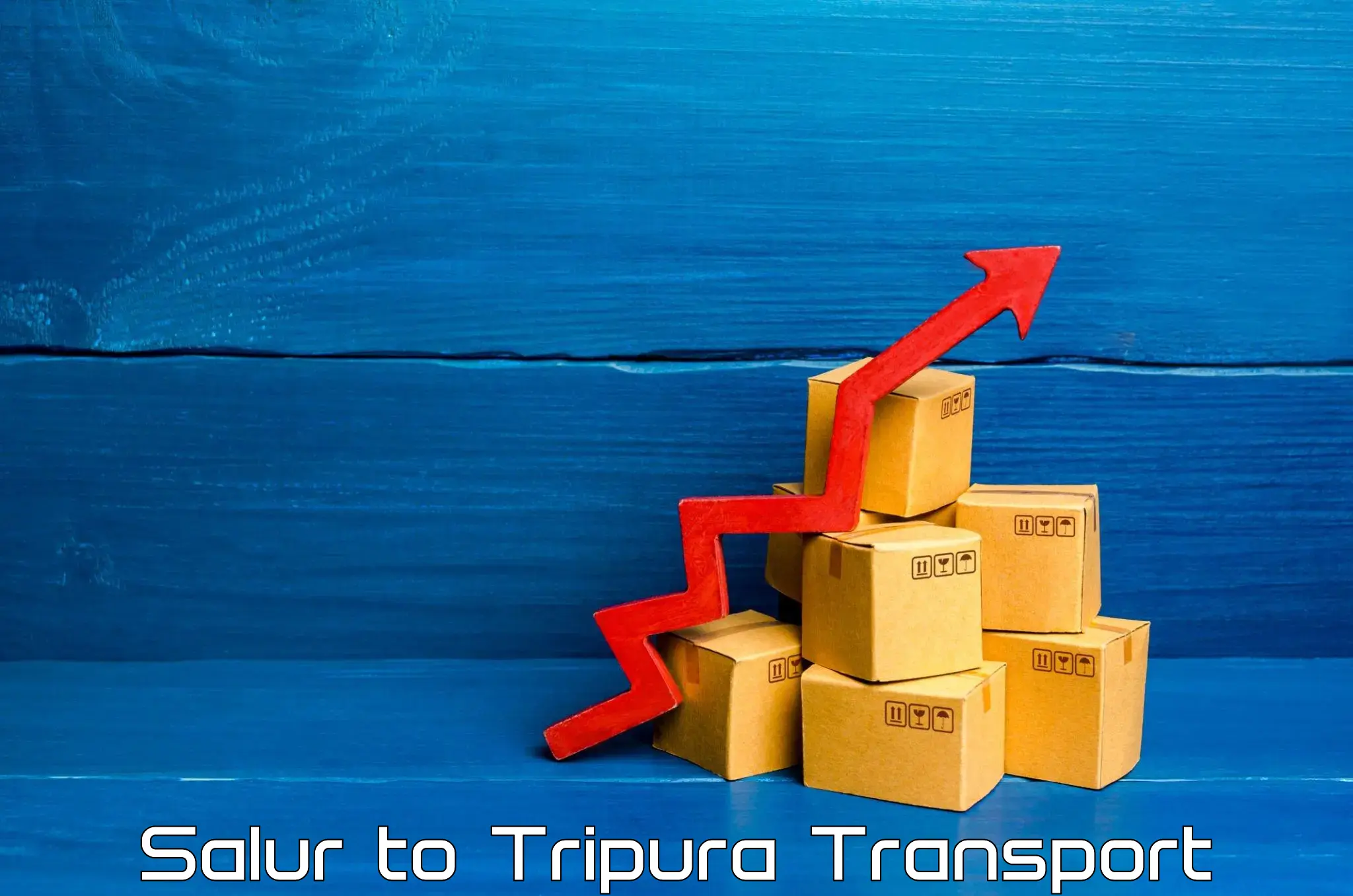 International cargo transportation services in Salur to Amarpur Gomati