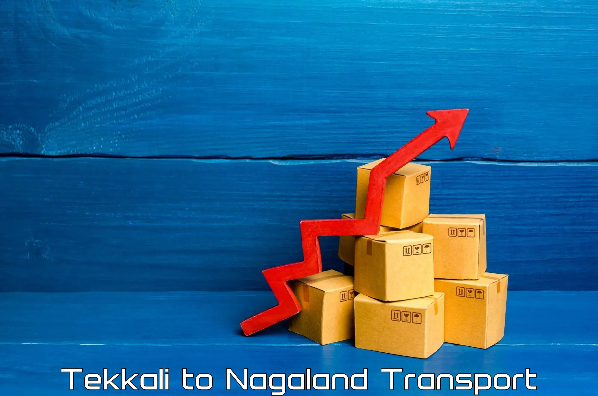 Container transport service Tekkali to Nagaland