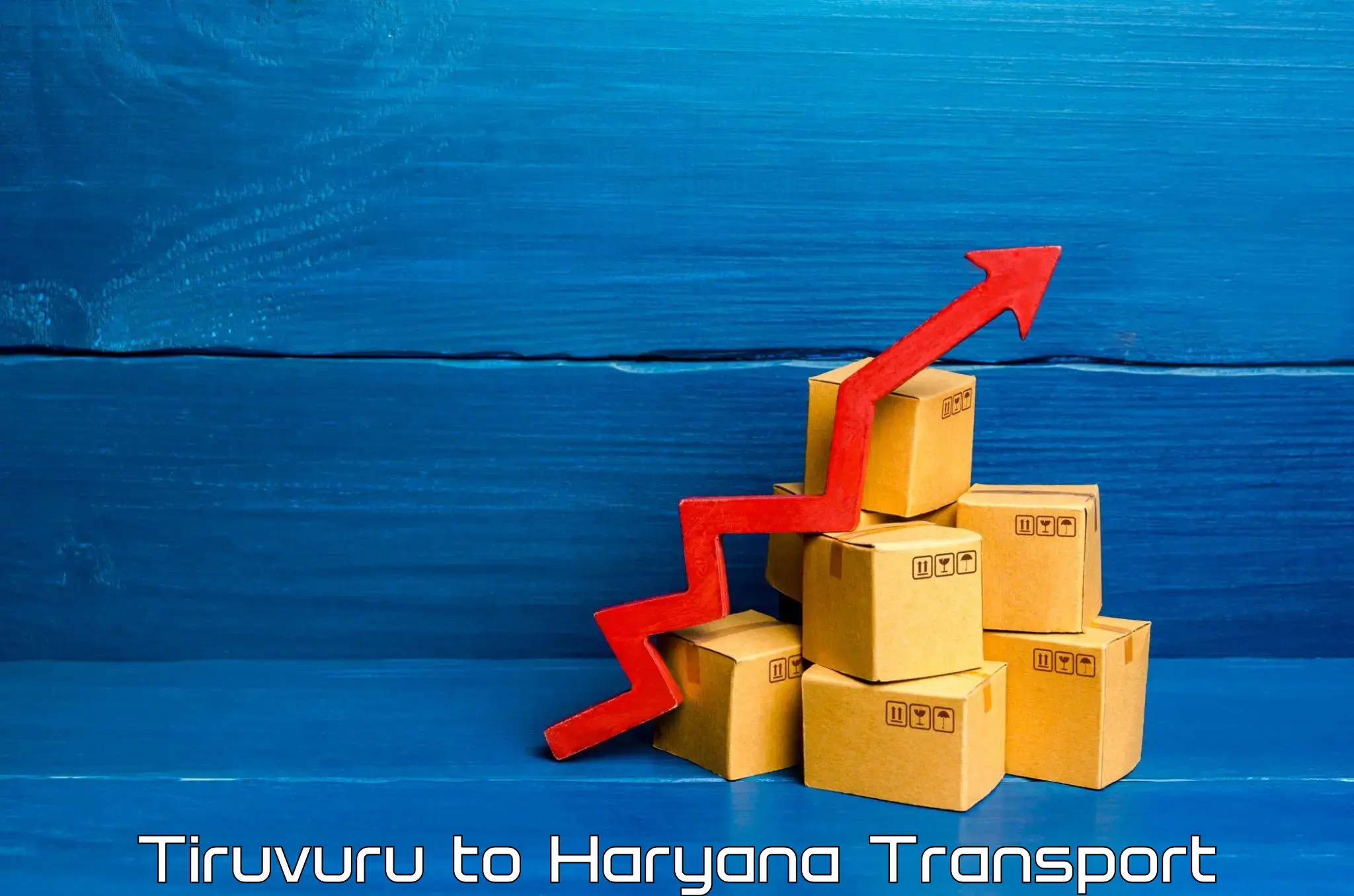 Daily parcel service transport Tiruvuru to Pinjore