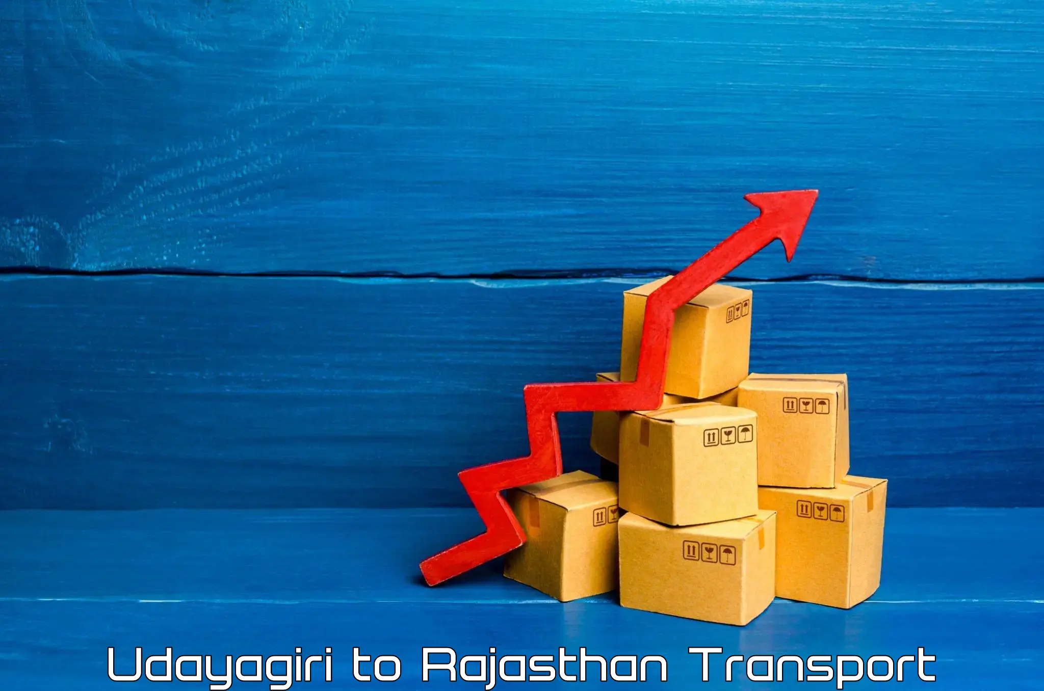 Container transport service Udayagiri to Rajasthan