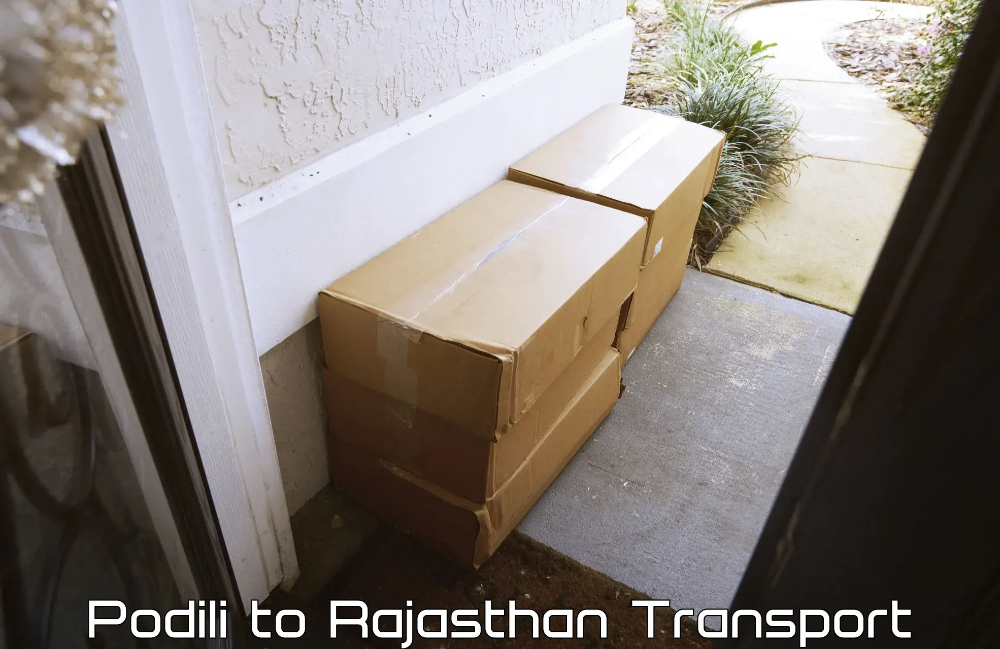 Cargo transportation services Podili to Raisingh Nagar